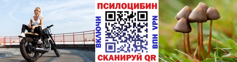 Псилоцибиновые грибы мицелий  кракен рабочий сайт  Белозерск 